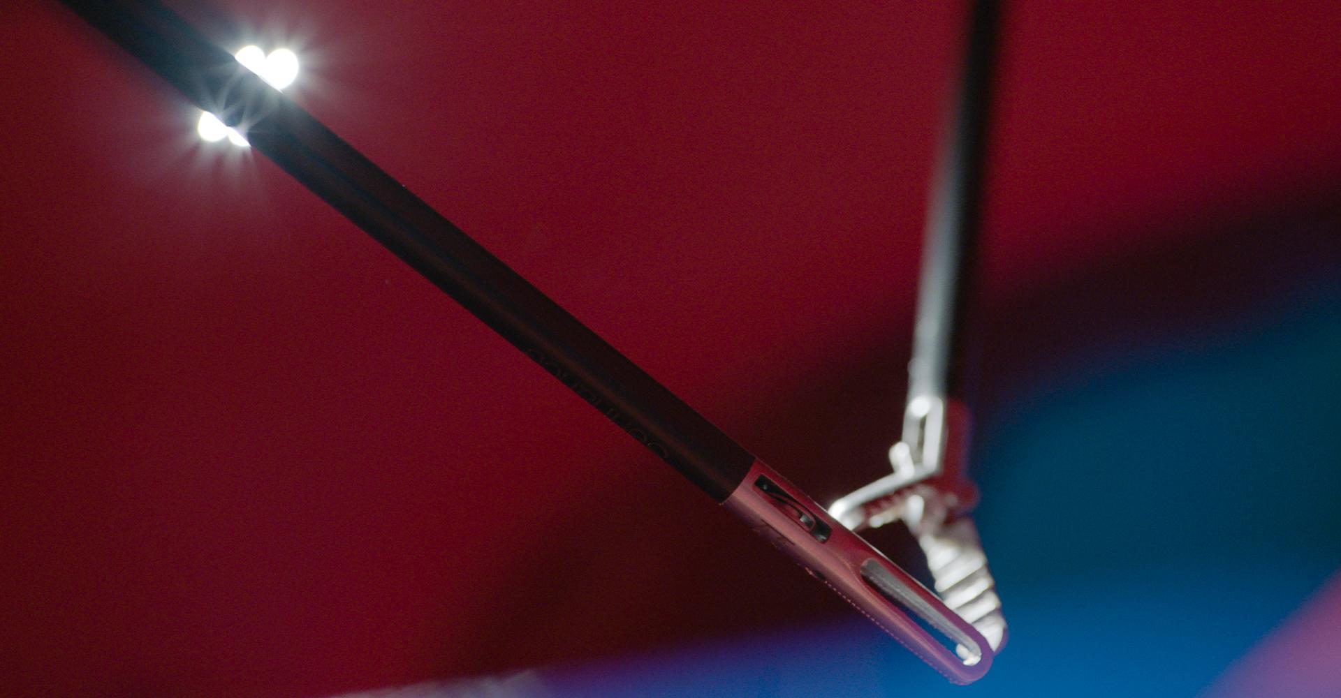 A pair of surgical clamps